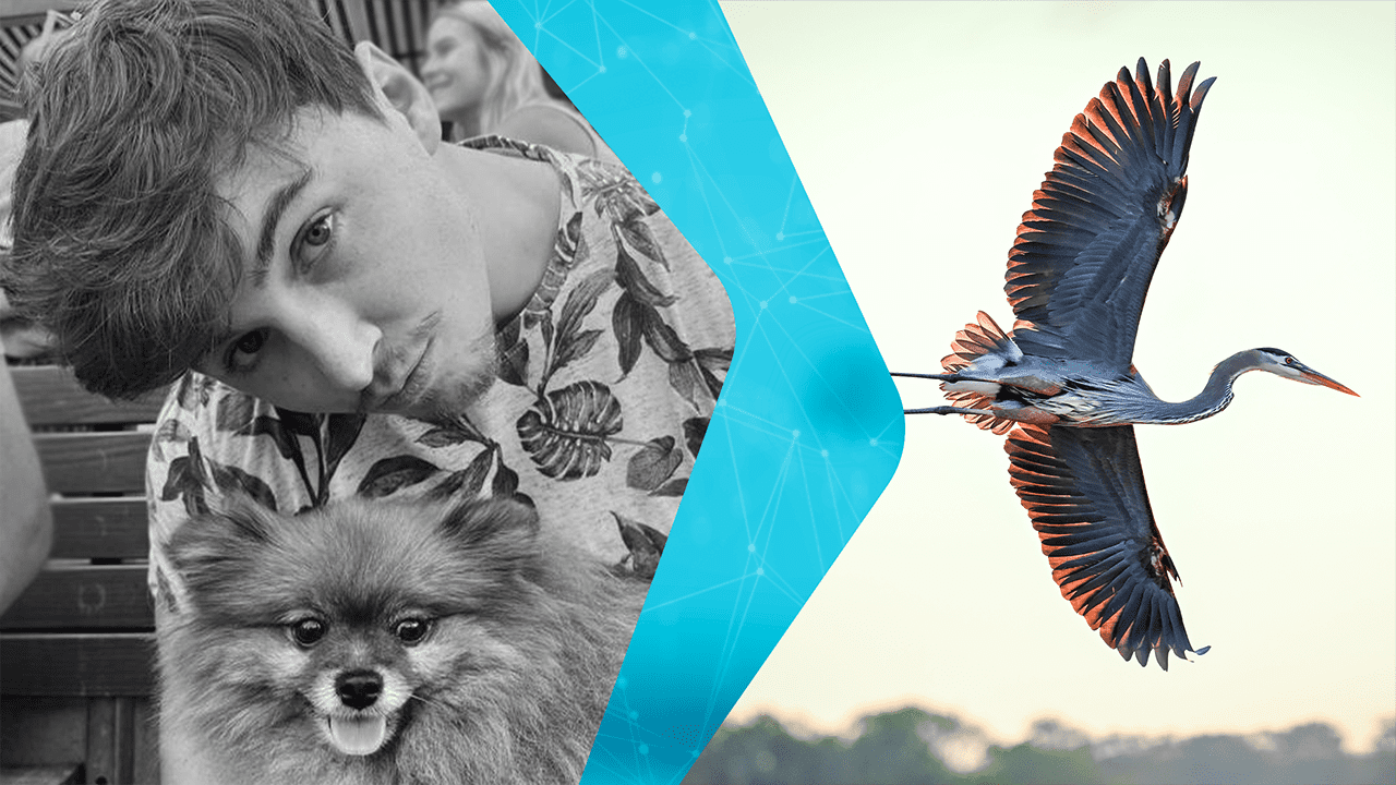 مسودة تلقائية