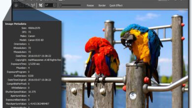 مستعرض كل شيئ اصدار جديد File Viewer Plus 4.0.1.8 Multilingual