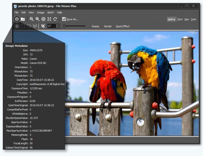 مستعرض كل شيئ اصدار جديد File Viewer Plus 4.0.1.8 Multilingual