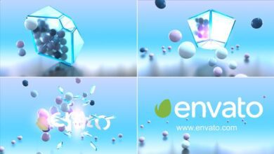 Videohive - Festival Logo Reveal - 30606273