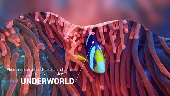 Videohive - Scuba Diving Promotion Slideshow - 25754741 - Project for After Effects