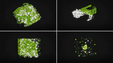 Videohive - Particles Logo Reveal - 21168281