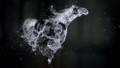 جديد Videohive - Splashing Horse Logo Reveal - 20457656