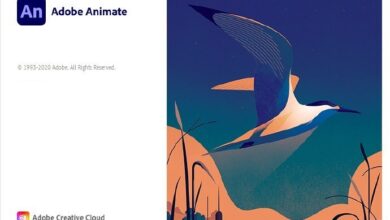 اصدار جديد كامل Adobe Animate 2021 v21.0.3.38773 (x64) Multilingual