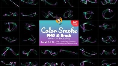 فرش جديدة للفوتوشوب CreativeMarket - Abstract Brush Transparent PNG 5785237