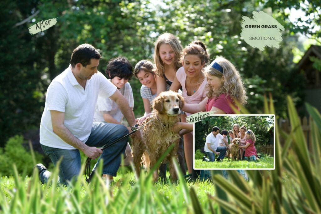 20 تراكب عشب أخضر ، نسيج رقمي مختلف