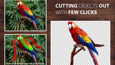 اصدار جديد لبرنامج ازالة الخلفية بكل سهولة PhotoScissors 8.1