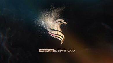 Videohive - Particles Elegant Logo - 30458322