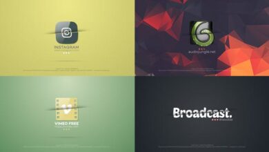 Videohive - Stylish Logo - 23144794 - Project for After Effects