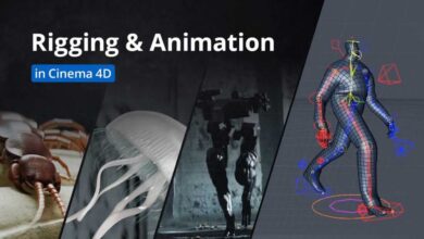 Motion Design School – Rigging and Animation in Cinema 4D Free Download