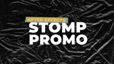 Videohive - Dynamic Stomp Promo 31238918