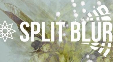 سكربت جديد Aescripts Split Blur v1.0.0 للافترافكت كامل