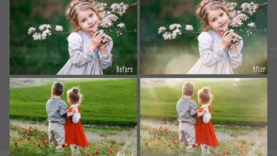 تراكيب شمس الصيف بالضباب Summer Sun Haze Photo Overlays - 6032936