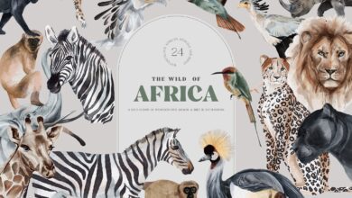 الحيوانات البرية من أفريقيا الرسوم التوضيحية المائية Wild Animals of Africa Illustrations Watercolor PNG - 1318248