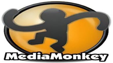 MediaMonkey Gold 5.0.0.2336 RC Multilingual