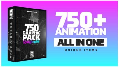 الحزمة الرائعة  Videohive - Graphic Pack | GFX - 29806634 - Project for After Effects