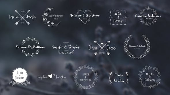 باقة عناوين الزفاف Videohive - Wedding Titles Pack 28418047