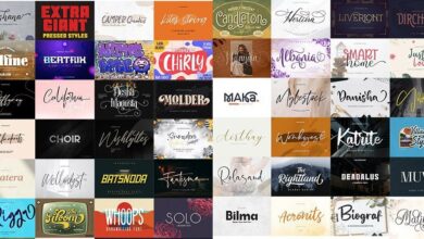 48 خط مدفوع جديدة حصريا 48 Awesome Fonts Bundle 1