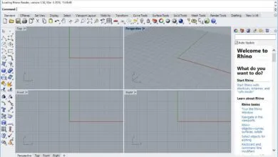 Rhinoceros v7.8.21196.05001 64 Bit