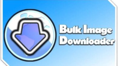 Bulk Image Downloader 5.92.0 Multilingual