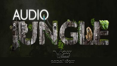 تحميل مجاني تجميعة صوتيات من AudioJungle لعام 2021 |AudioJungle - Mega package - 2021