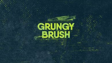 Videohive - Grunge Brush Logo - 23774581 - Project for After Effects