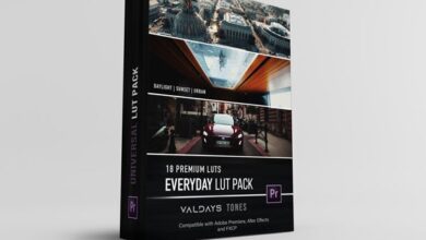 VALDAYS FILM – Everyday LUT Pack