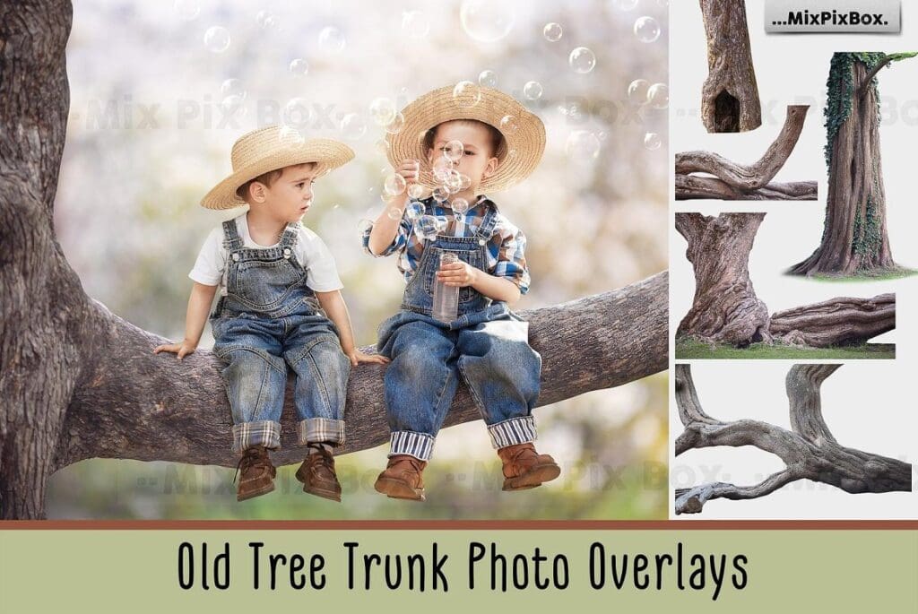 تراكبات صور جذع الشجرة القديمة Old Tree Trunk Photo Overlays - 6116946