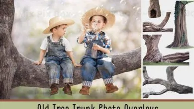 تراكبات صور جذع الشجرة القديمة Old Tree Trunk Photo Overlays - 6116946