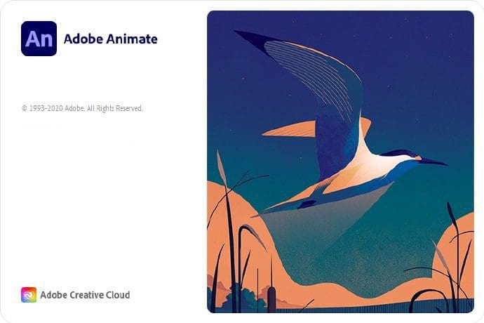 اصدار جديد كامل Adobe Animate 2021 v21.0.6.41649 (x64) Multilingual