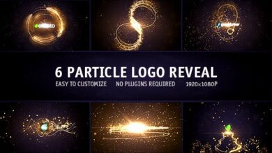 حزمة إظهار شعار الجسيمات 6 في 1 Videohive - Particle Logo Reveal Pack 6in1 13977876