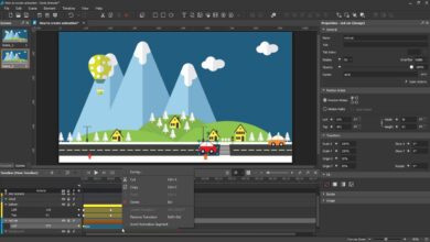 اصدار جديد Saola Animate Pro 3.0.1 (x64) Multilingual