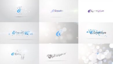 Videohive Quick Logo Sting Pack 06: Clean Particles 9574588