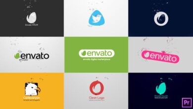 Videohive - Logo Drop | Premiere Pro - 21892258