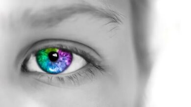 Adobe Lightroom For Beginners : Complete Photo/Image Editing | Udemy