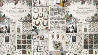 مجموعة الزهور الاستوائية