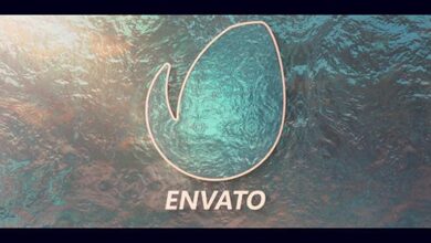 Videohive - Logo Pool - 19668643 - Project for After Effects