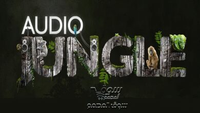 تجميعة متوسطة الحجم من اوديو جنغل تحميل تيلجرامAudioJungle - Mega package v2 - 2021