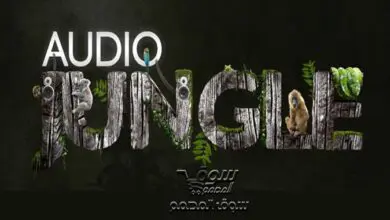 AudioJungle - Mega package v4 - 2021