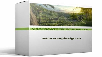 VrayScatter for Maya v4.606 (x64)