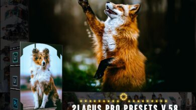 فلاتر PRO Presets - V 58 - Photoshop & Lightroom للفوتوشوب والايت روم