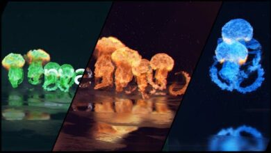 مع السكربت Videohive - Fire Logo Reveal - 32569644 - Project & Script for After Effects