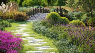 نماذج النبات Maxtree 61 Maxtree 60Maxtree 58 maxtree 57 Maxtree 55