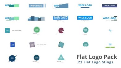 حزمة الشعارات Videohive - Flat Logo Pack - 9300776