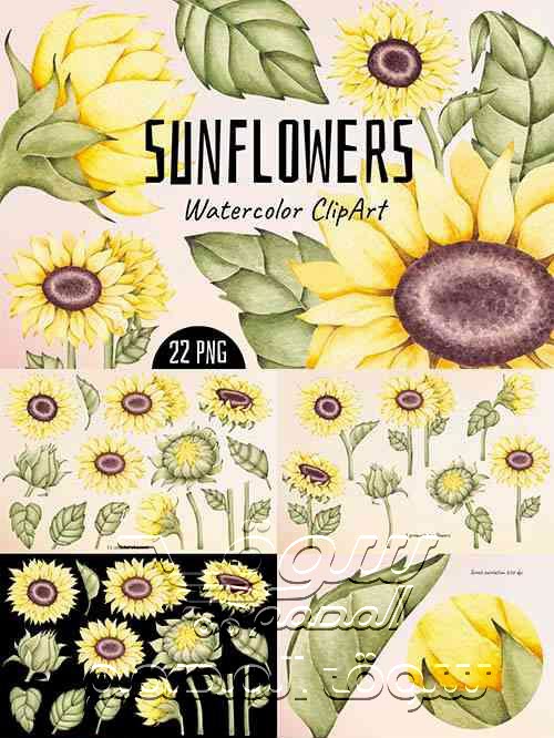 قصاصة فنية  ألوان مائية عباد الشمس Watercolor ClipArt Sunflowers