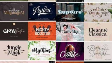 20 خطًا جديدًا فائق الإبداع في حزمة واحدة Super Creative Fresh Fonts in 1 Pack