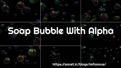 فقاعة الصابون مع ألفا Videohive - Soap Bubble With Alpha (23280475)