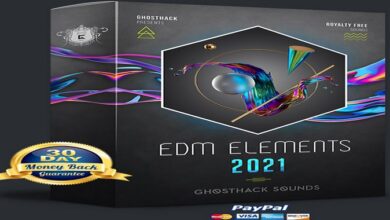 EDM Elements 2021