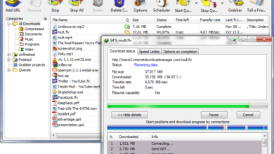 اصدار جديد Internet Download Manager 6.39.1 مفعل كامل