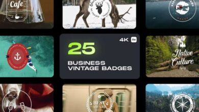 Videohive - Business Vintage Badges 32970382